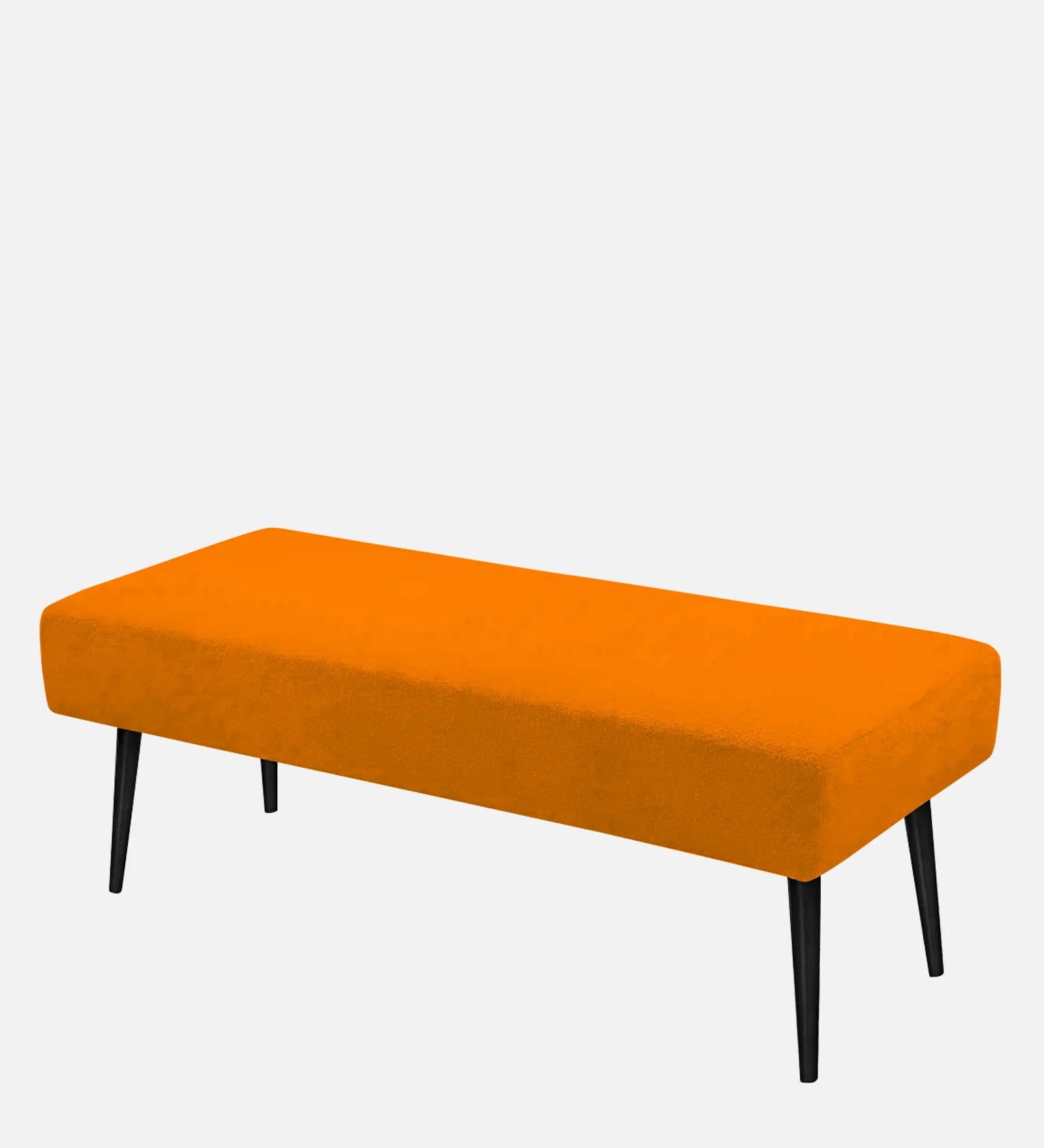 Curated Interior Space